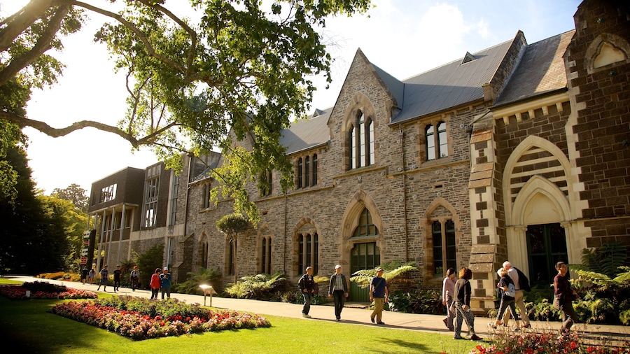 Christchurch Botanic Gardens mostrando elementos de patrimĂŽnio assim como um grande grupo de pessoas