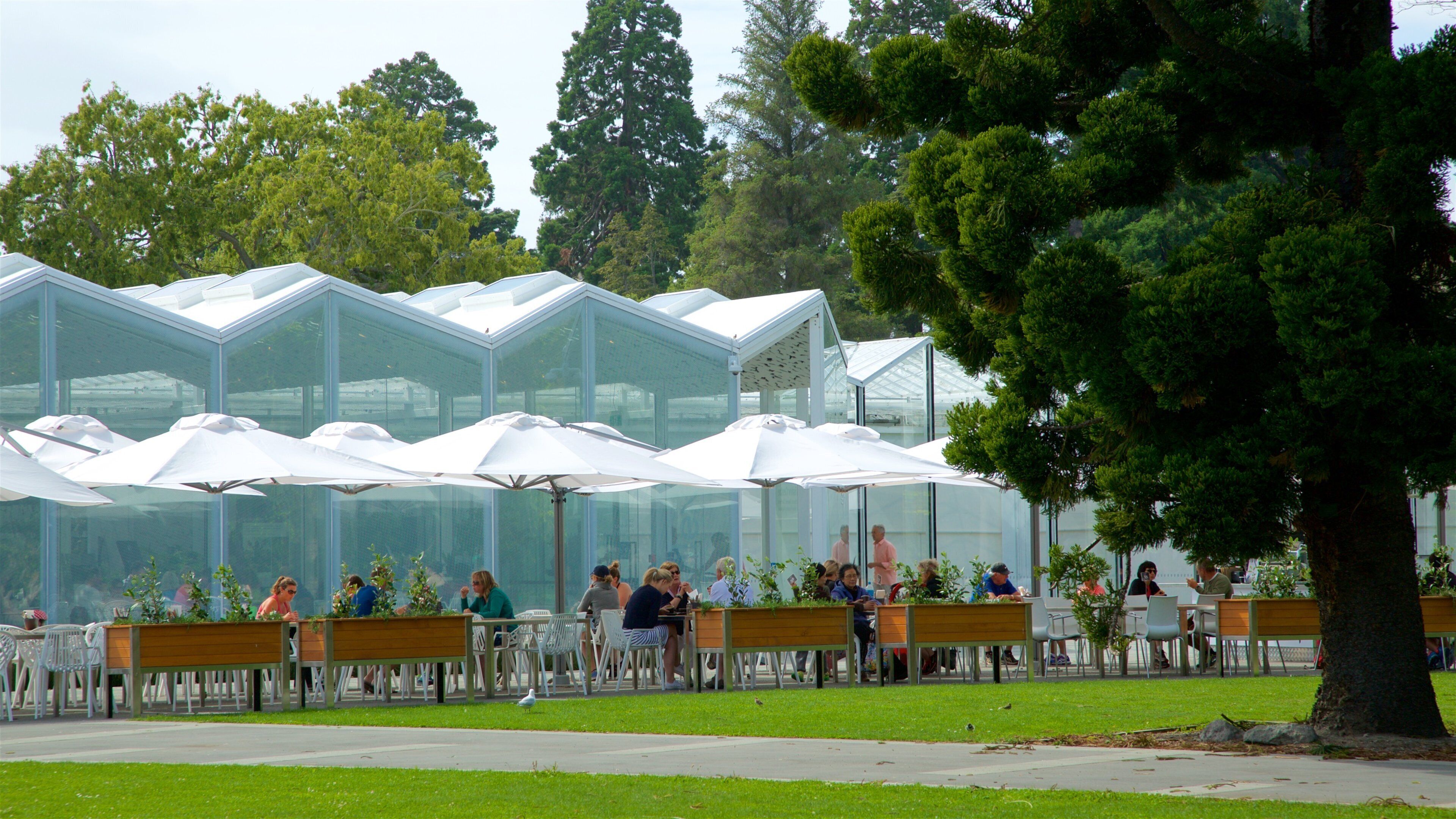 Christchurch Botanic Gardens