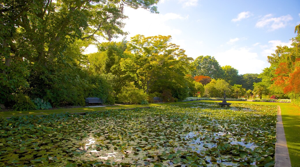 Mona Vale which includes a pond and a garden