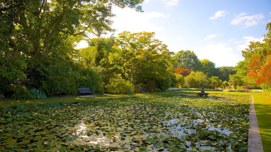 Mona Vale featuring a pond and a park