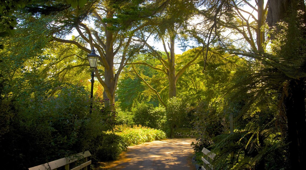 Mona Vale showing a garden