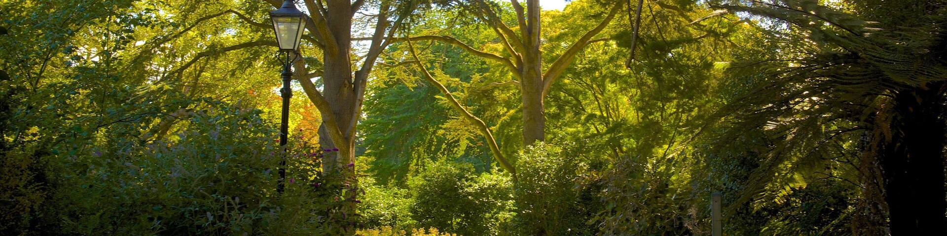 Mona Vale showing a garden