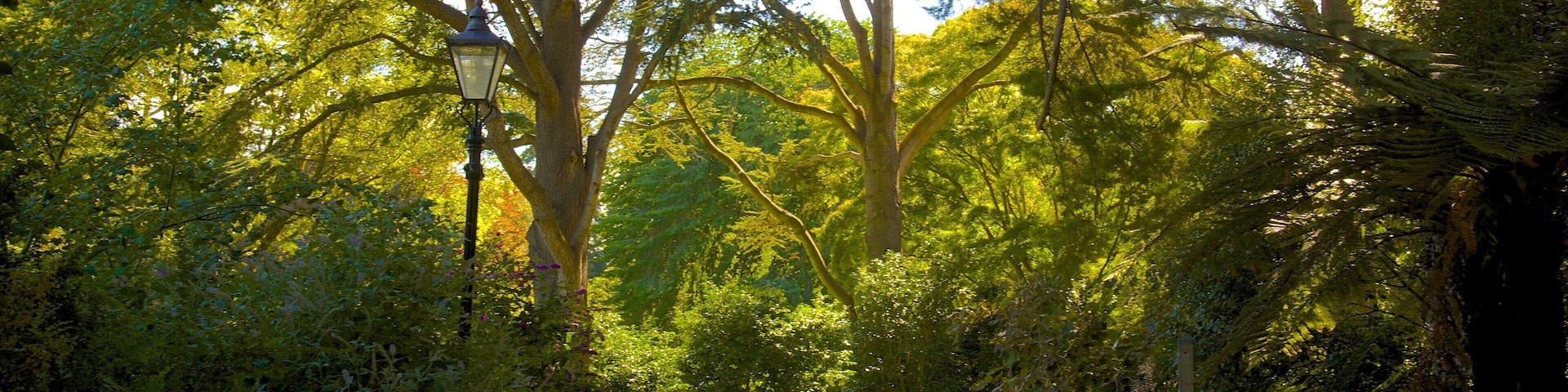 Mona Vale ofreciendo un parque