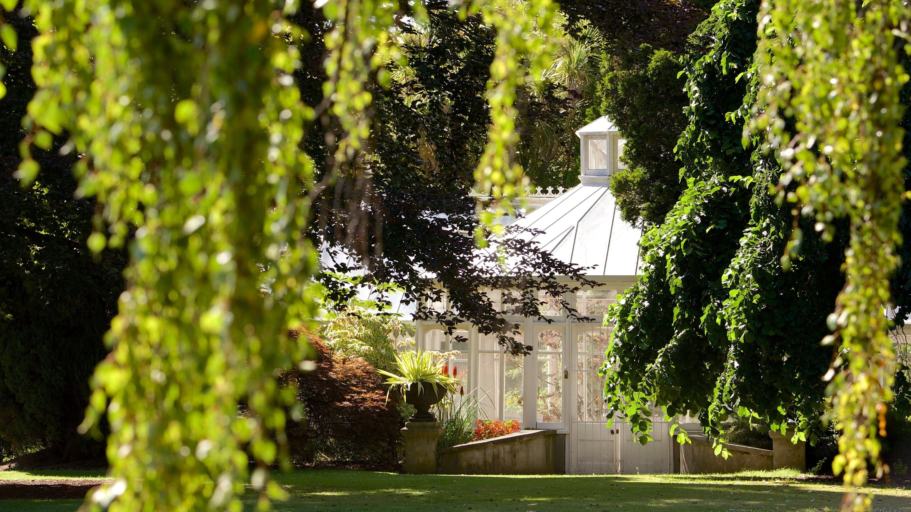 Mona Vale som inkluderar en trädgård