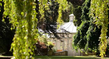 Mona Vale mostrando un parque