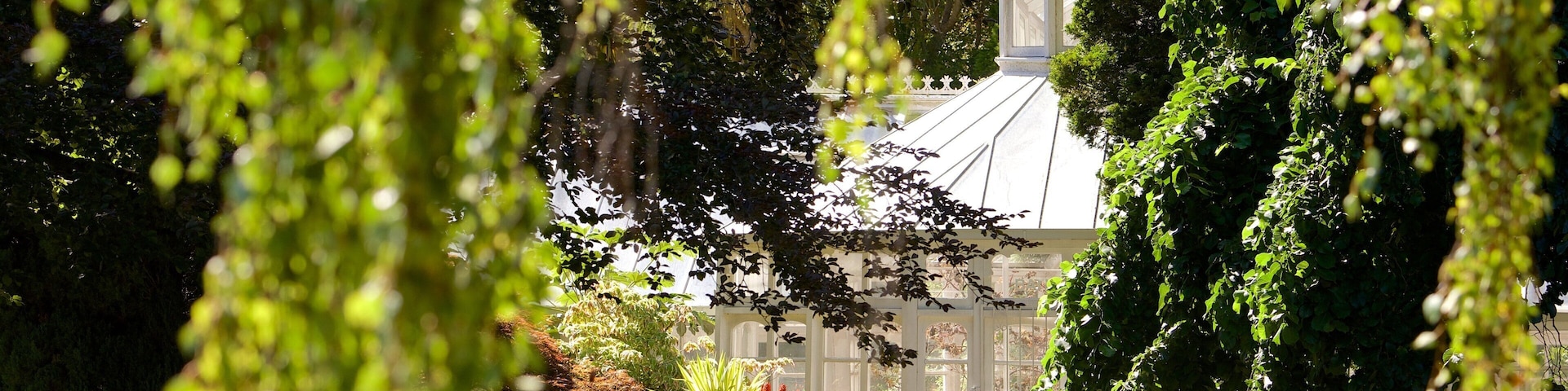 Mona Vale which includes a park