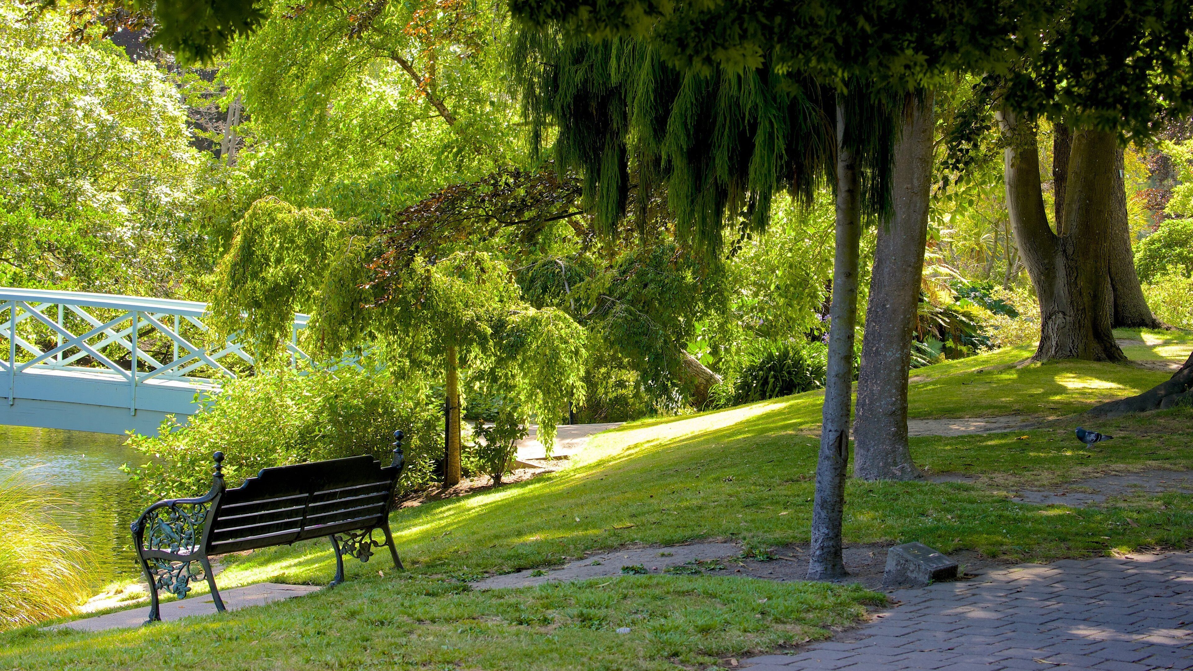 Mona Vale featuring a park