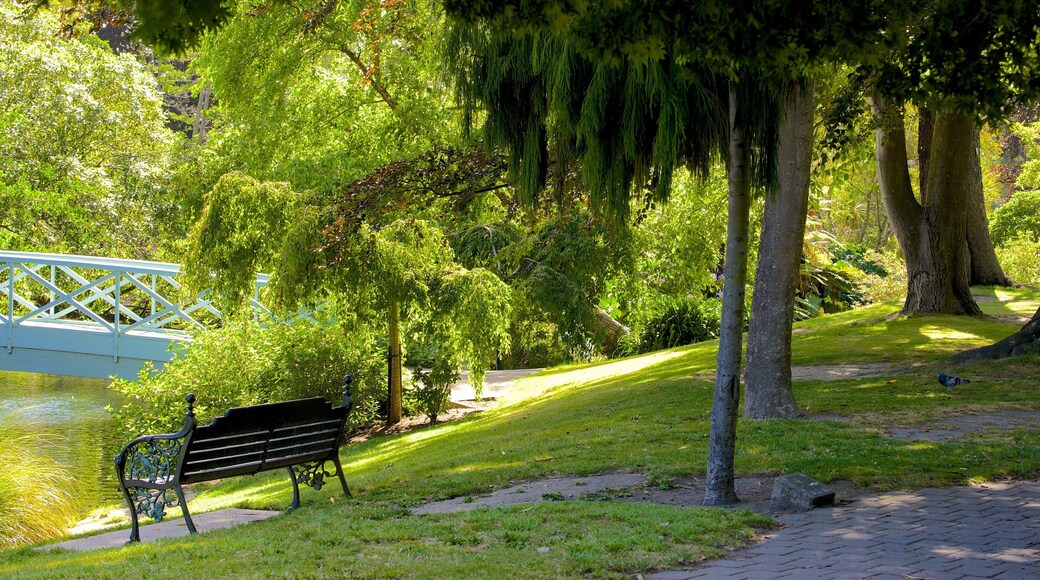 Mona Vale featuring a park