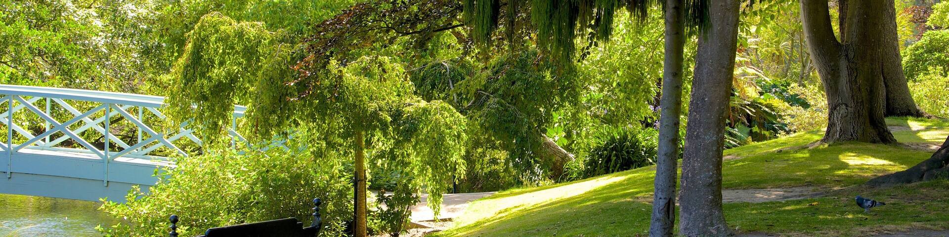 Mona Vale showing a park