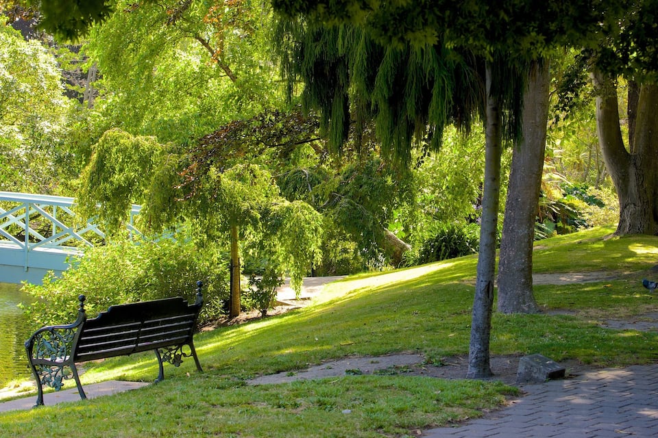 A park with a bench, a bridge, and trees.