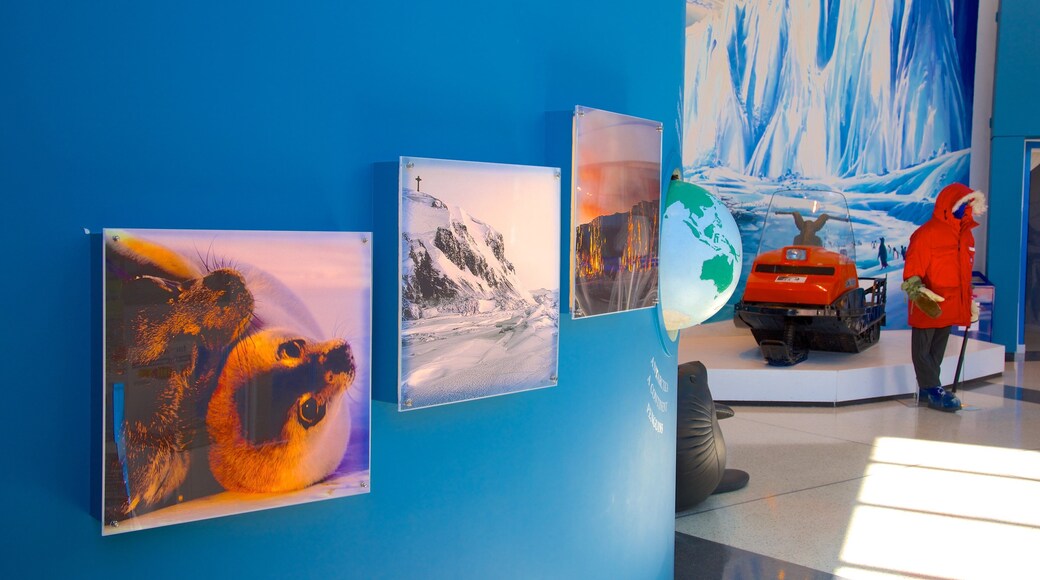 International Antarctic Centre which includes interior views