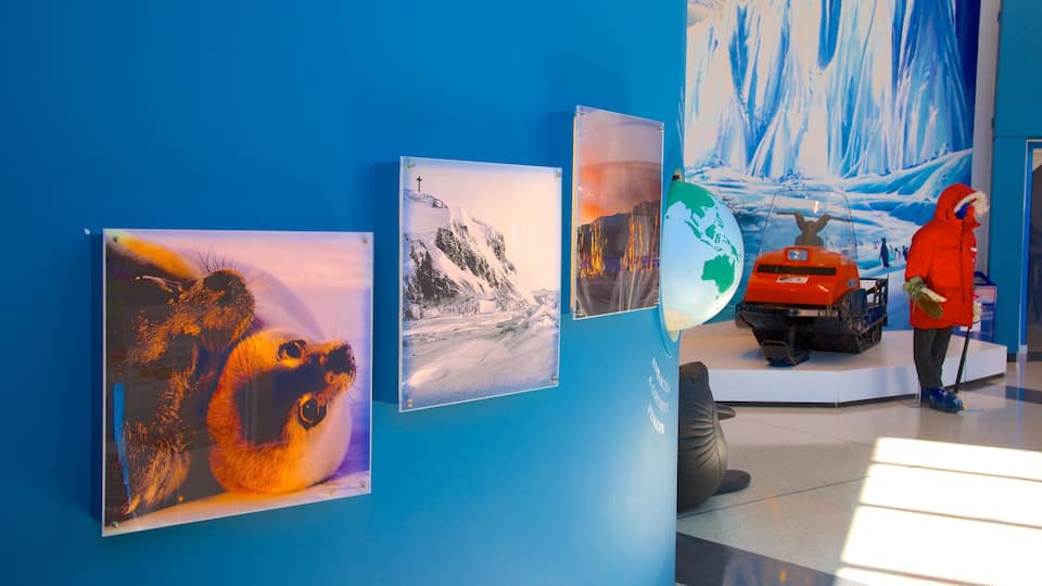 Un oso polar, una montaña nevada y un vehículo rojo exhibido.