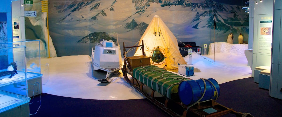 国際南極センター どの含み 屋内の眺め