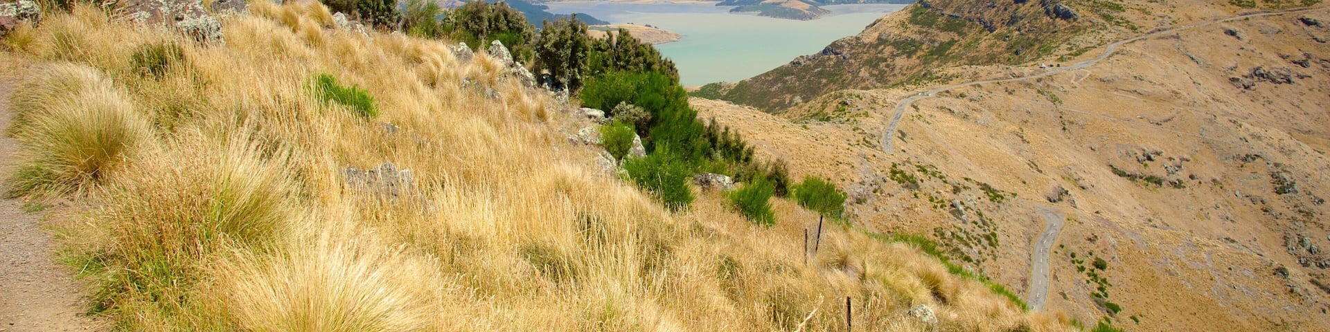 Mount Cavendish which includes mountains