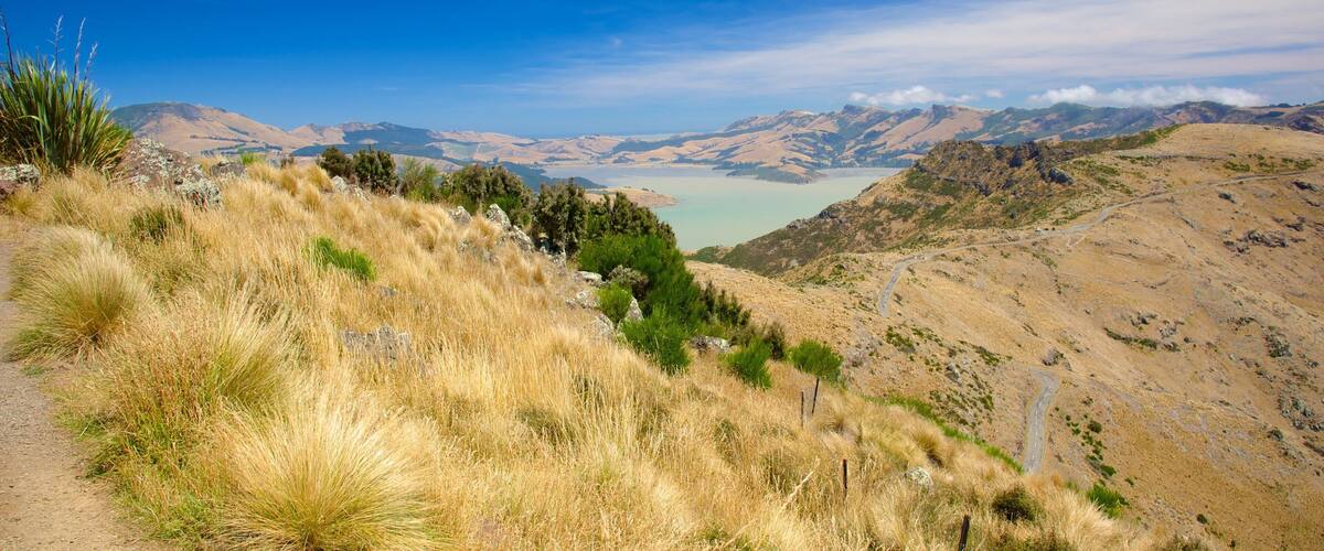 A mountainous landscape with a clear view of a lake and distant hills.
