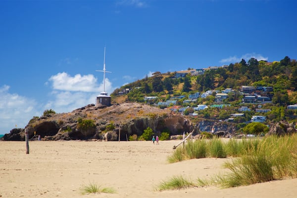 Plage de Sumner mettant en vedette ville côtière, vues littorales et plage