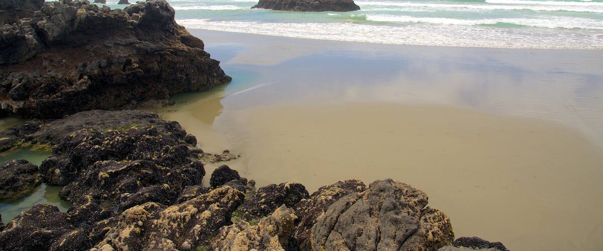 Sumner Beach which includes rocky coastline