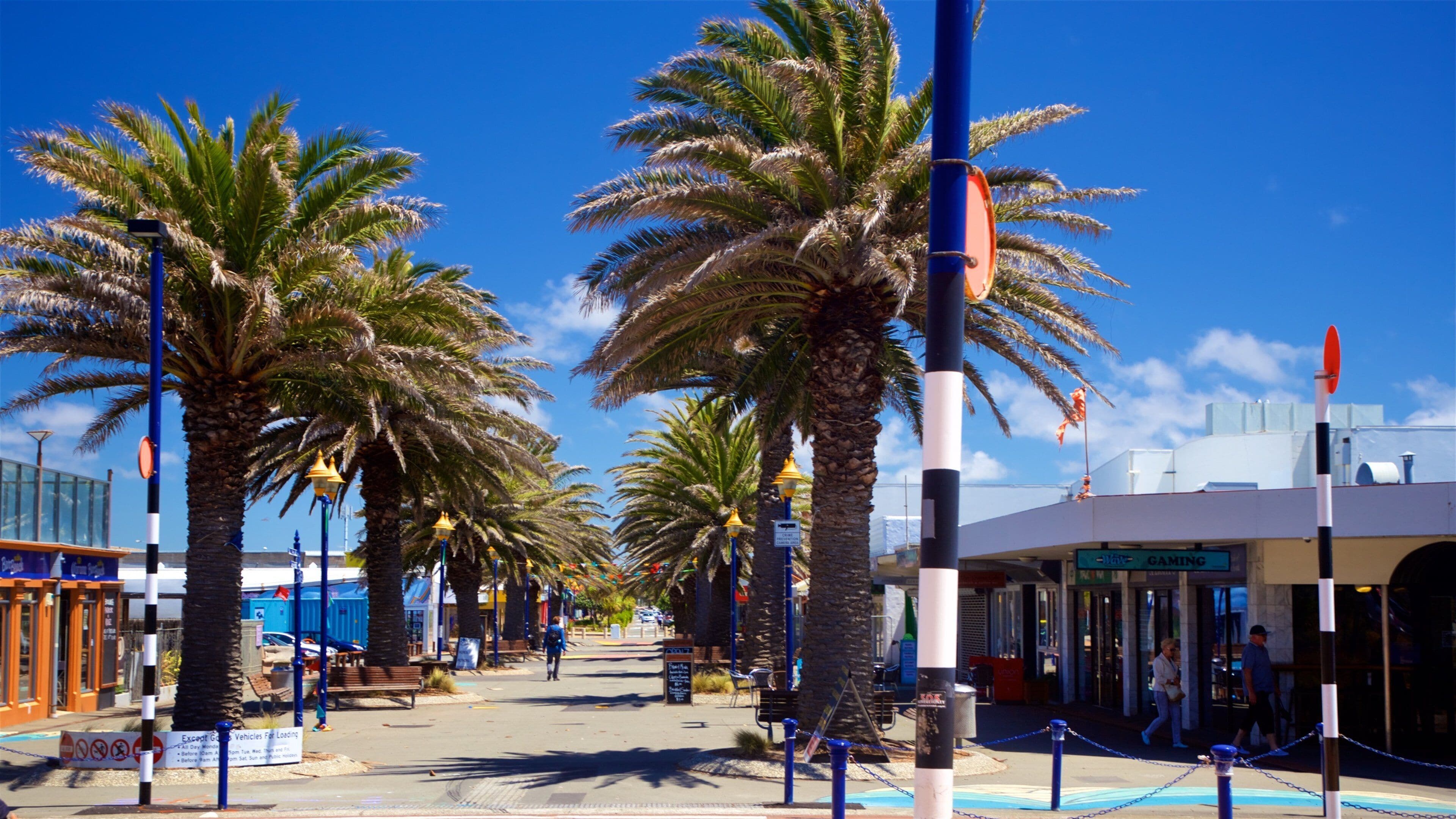New Brighton Beach which includes tropical scenes
