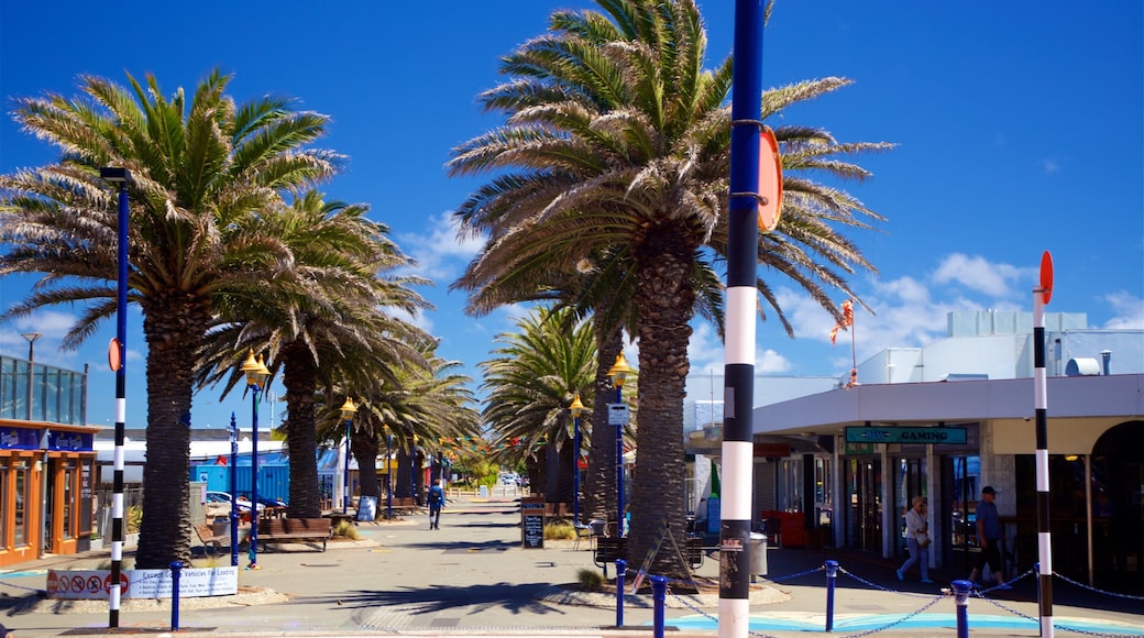 New Brighton Beach which includes tropical scenes
