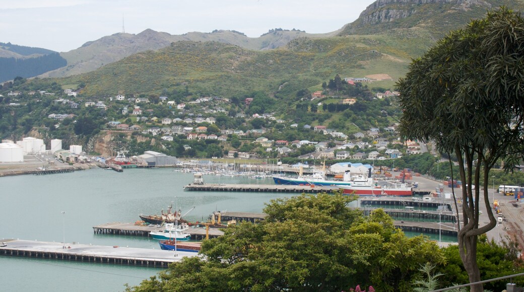 Lyttelton Harbour som viser en bugt eller havn, bjerge og en marina