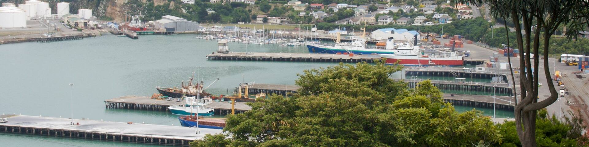 Lyttelton Harbour showing a marina, mountains and a bay or harbor