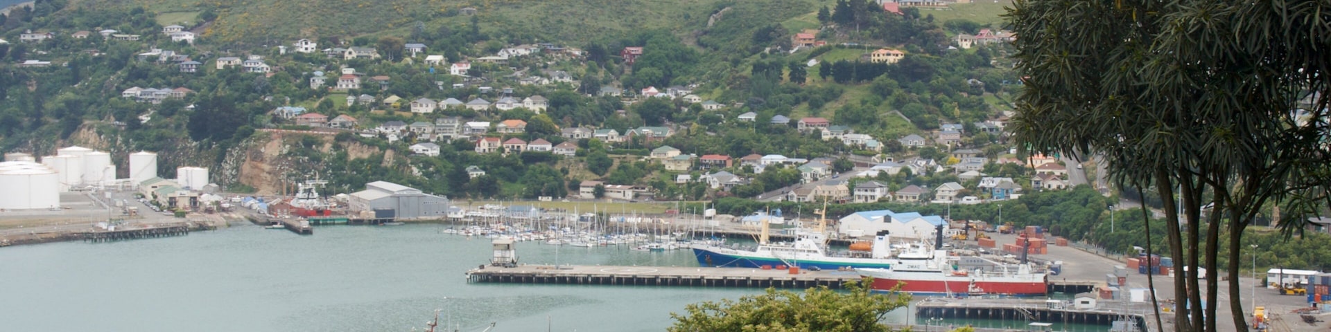 Lyttelton Harbour mostrando uma baía ou porto, montanhas e uma marina