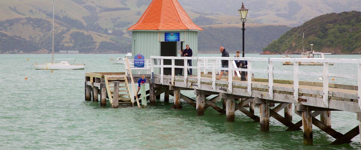 ์์นด๋ก์ ์ํ ์ด ํฌํจ ์ฐ, ํ์ ํ ํ๊ฒฝ ๊ณผ ํญ๊ตฌ ๋๋ ํญ๋ง