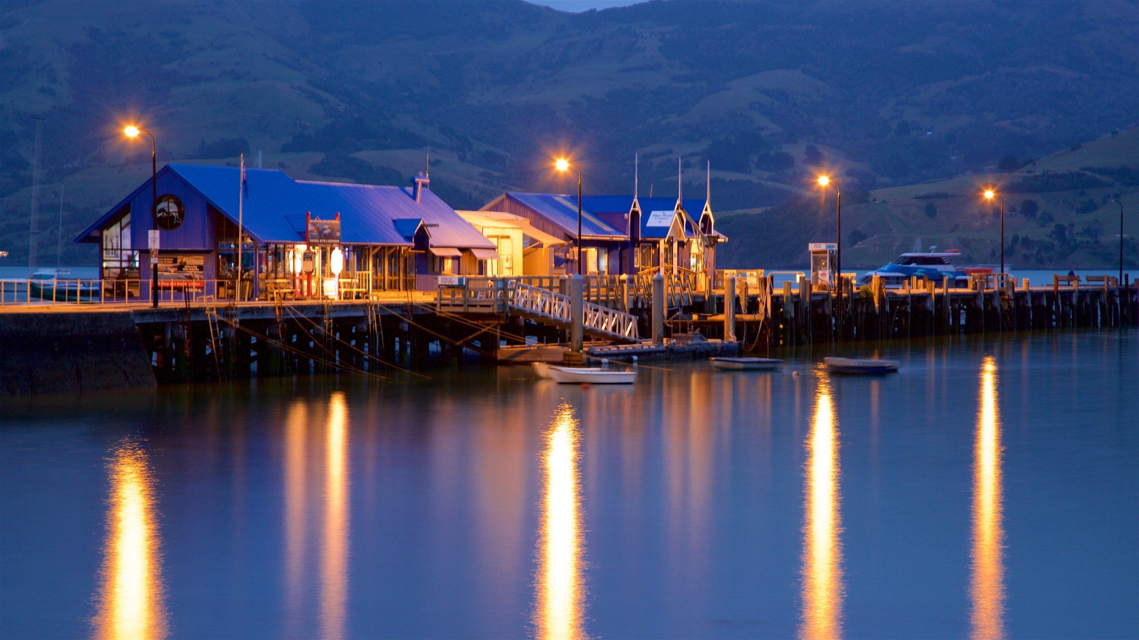 Akaroa Wharf showing a bay or harbor, a marina and night scenes