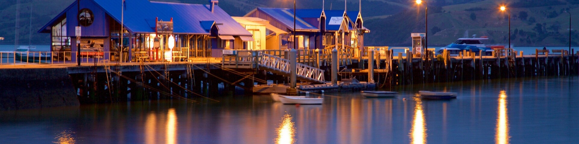 Akaroa Wharf showing a bay or harbor, a marina and night scenes