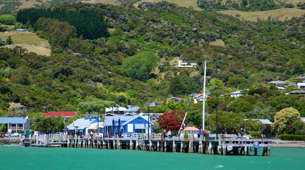 Akaroa Wharf featuring general coastal views and a coastal town