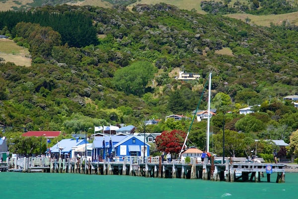 Akaroa Wharf featuring general coastal views and a coastal town