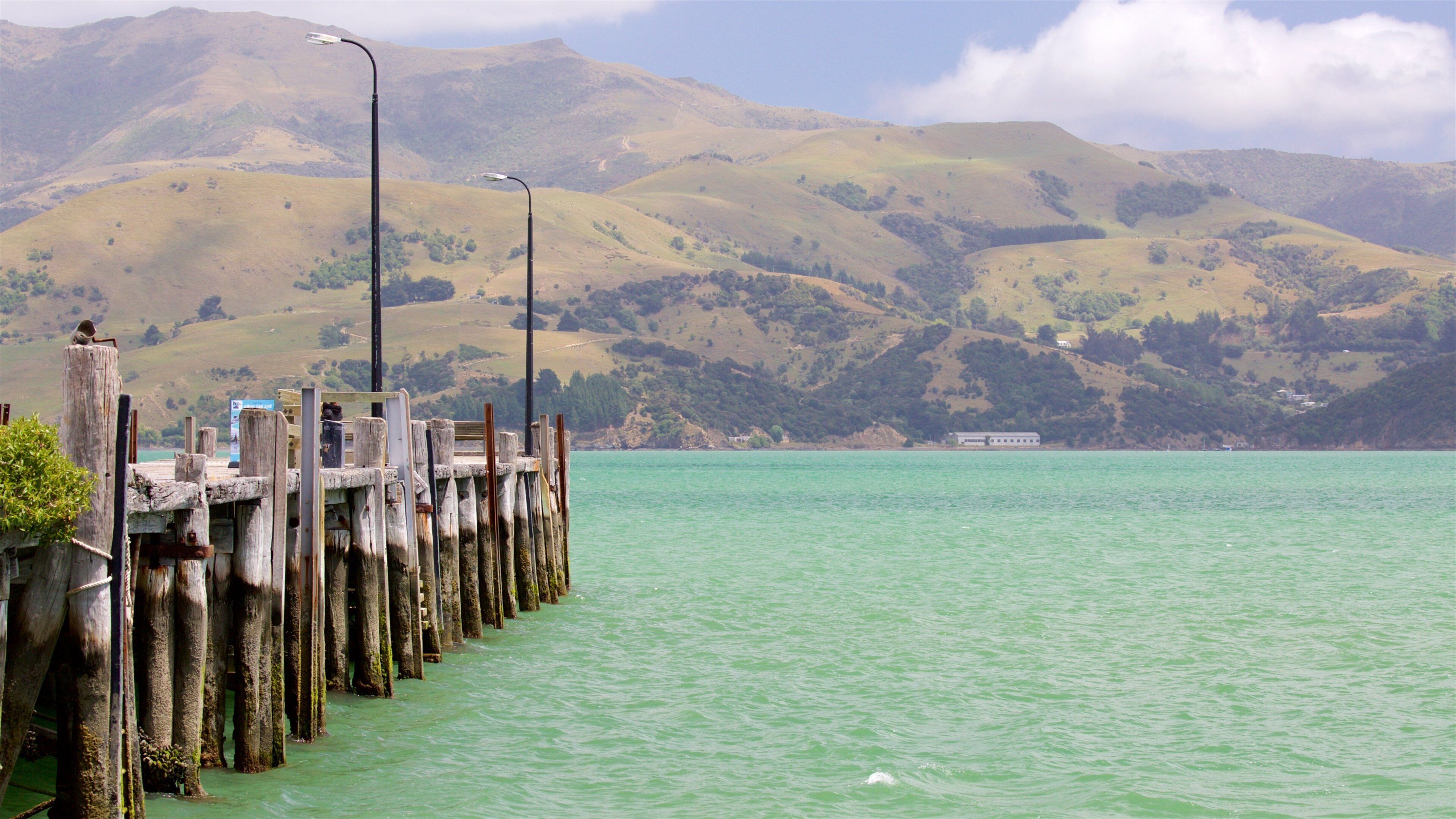 Akaroa Wharf ซึ่งรวมถึง เมืองชายฝั่ง, ทิวทัศน์ที่เงียบสงบ และ ชายฝั่งทะเล
