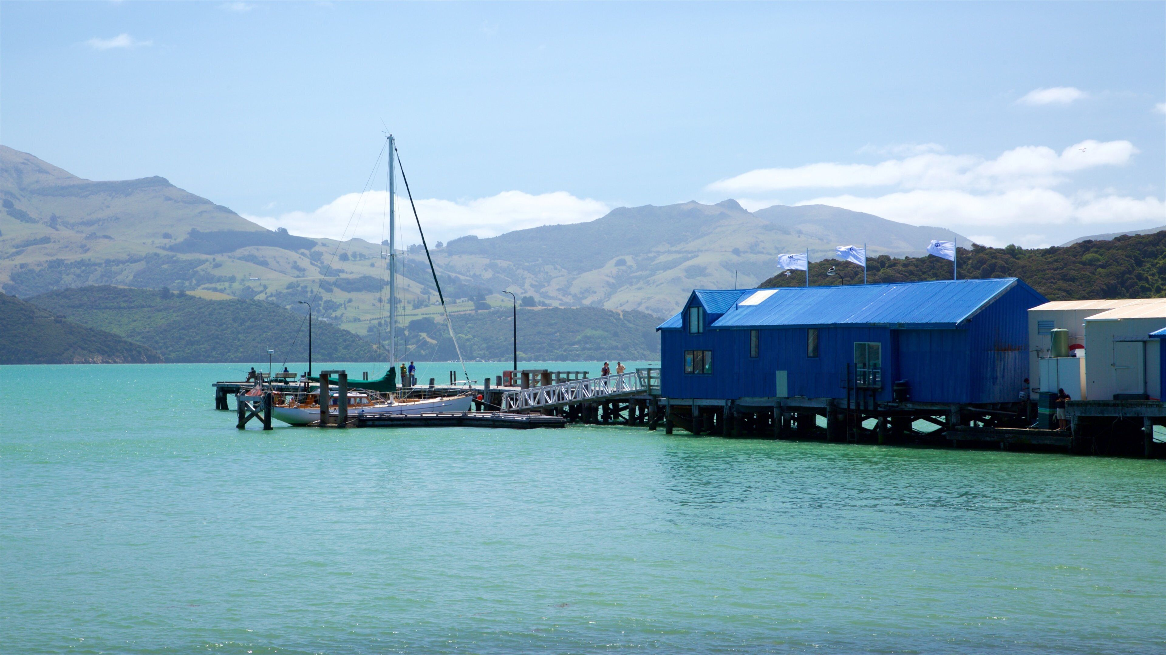 Akaroa Wharf เนื้อเรื่องที่ อ่าวหรือท่าเรือ, ภูเขา และ แล่นเรือ