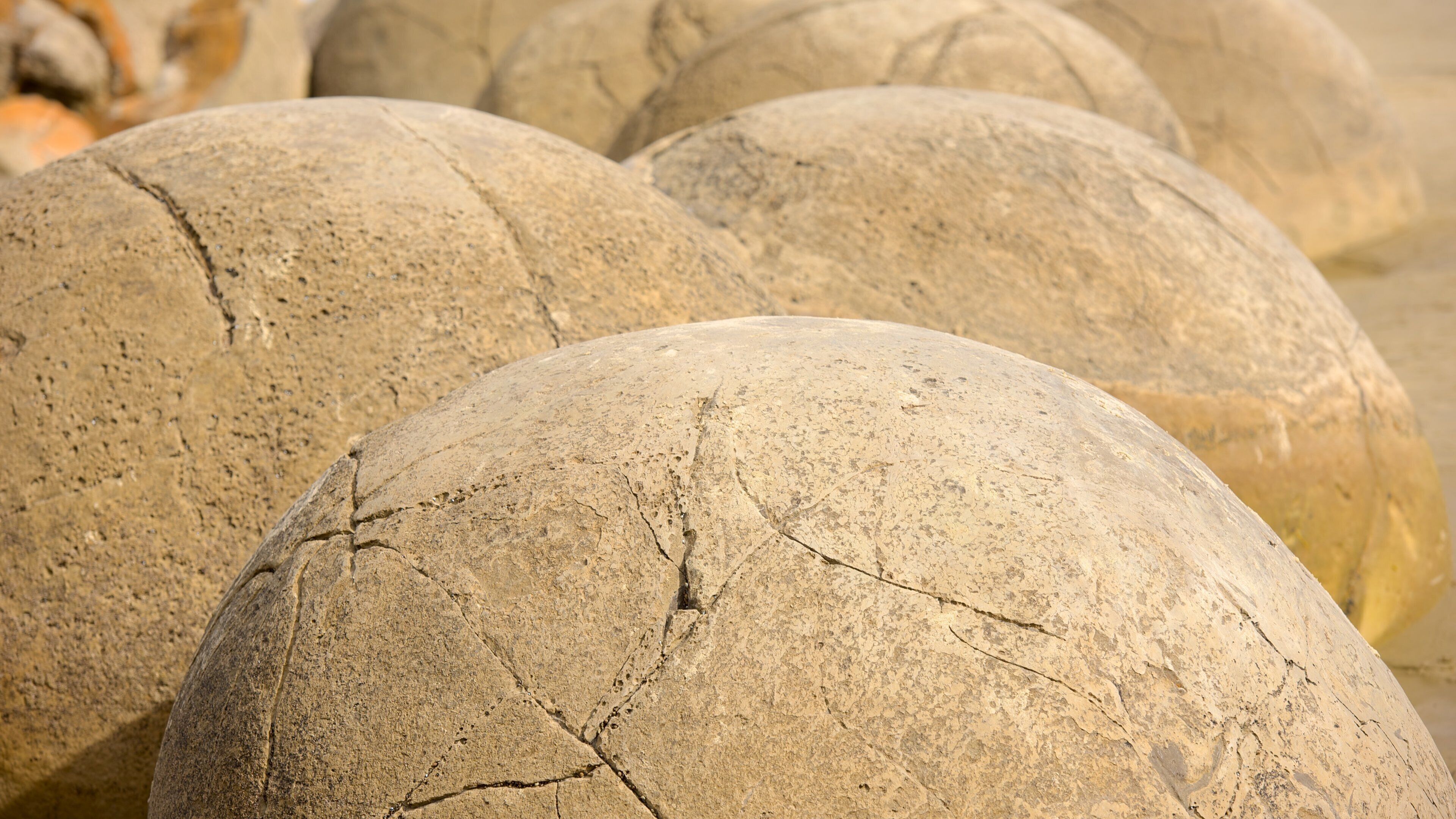 Moeraki Boulders