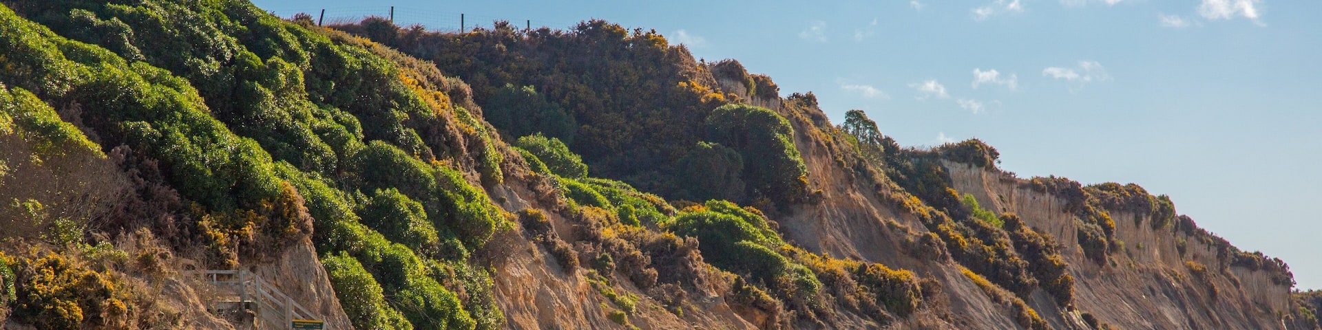 Moeraki Boulders which includes a beach as well as a small group of people