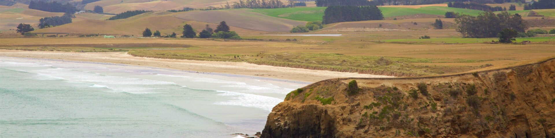 Moeraki Lighthouse que incluye una bahía o un puerto, una playa de arena y escenas tranquilas