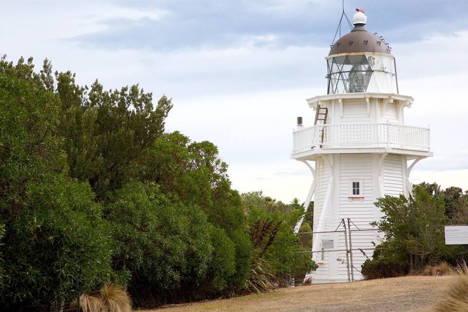 Um farol branco com cúpula metálica e varanda, rodeado por vegetação verde exuberante.