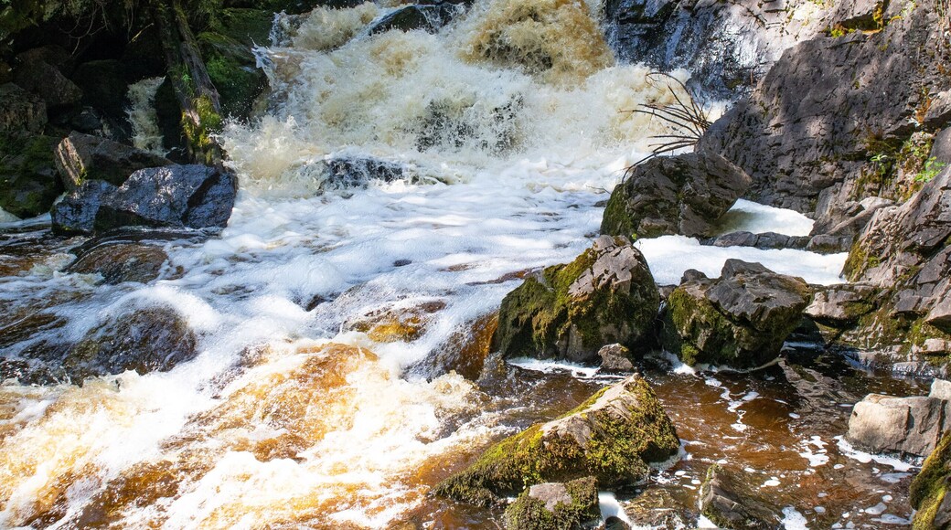Long Slide Falls, Marinette County, Wisconsin June 2020 on the North Branch Pemebonwon River
