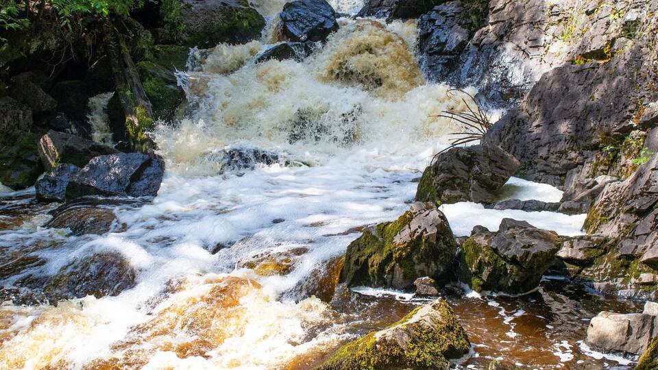 A fast-flowing river with rocks and moss, surrounded by dense green foliage.