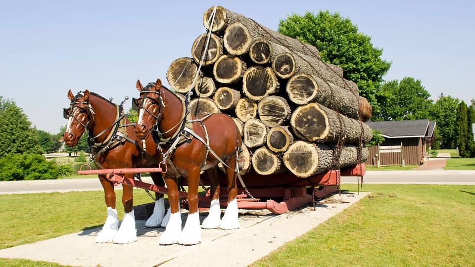 Two horses pulling a cart loaded with logs.