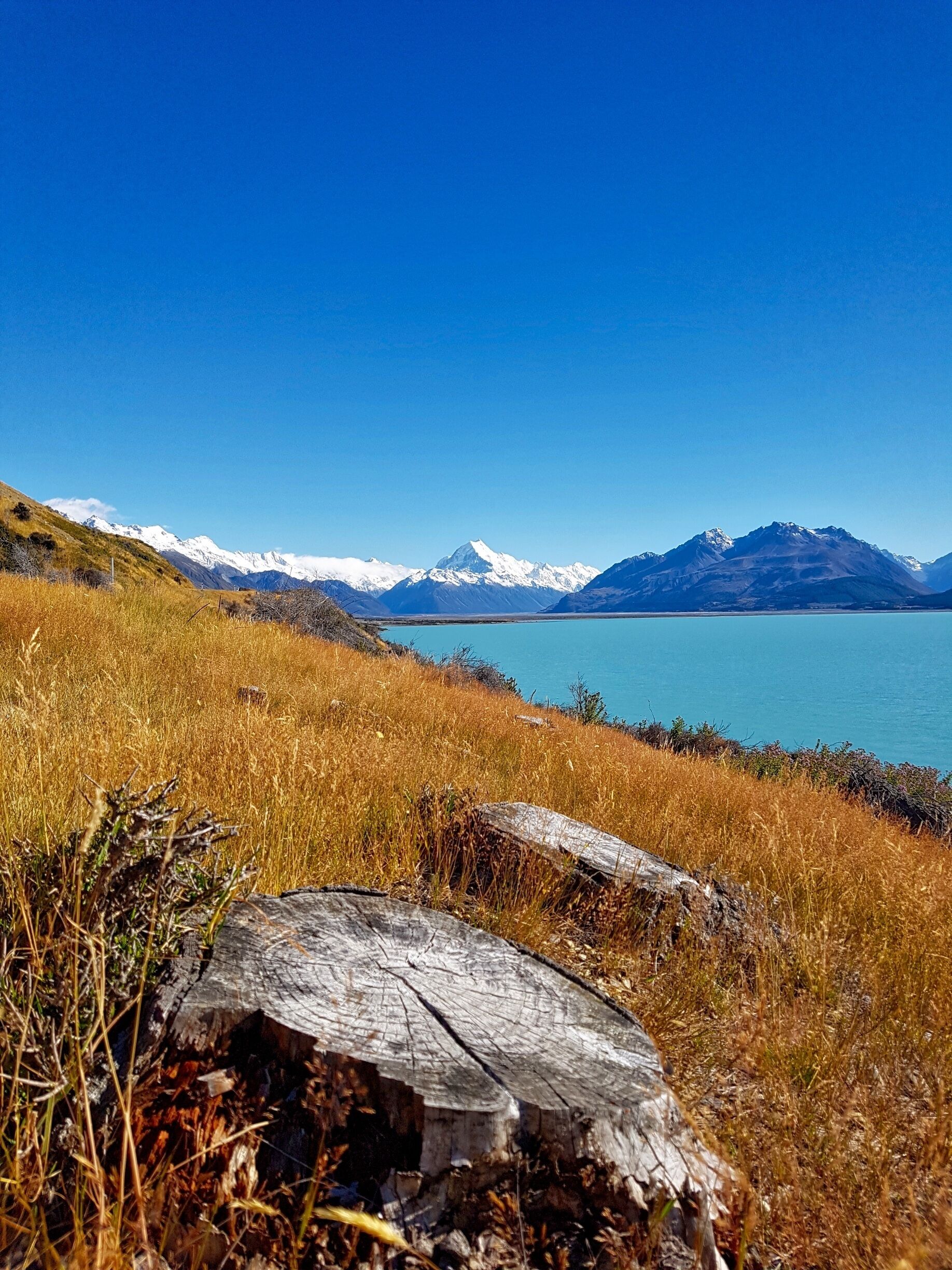 View of Mt. Cook, from the shore of Lake Pukaki, New Zealand. #BVSTrover #NewZealand #travel #landscape