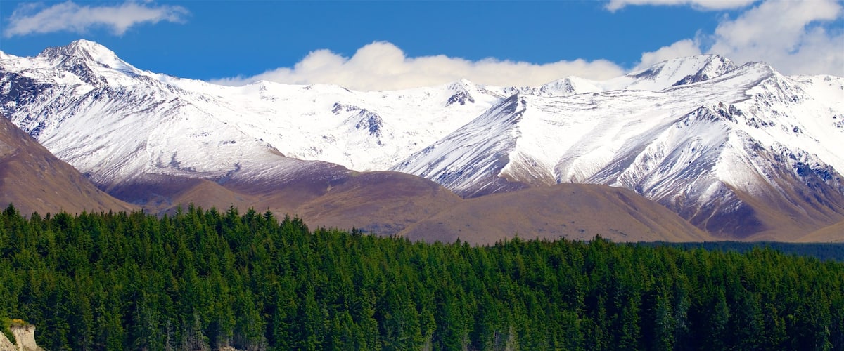 Lake Pukaki bevat bergen, sneeuw en een meer of poel