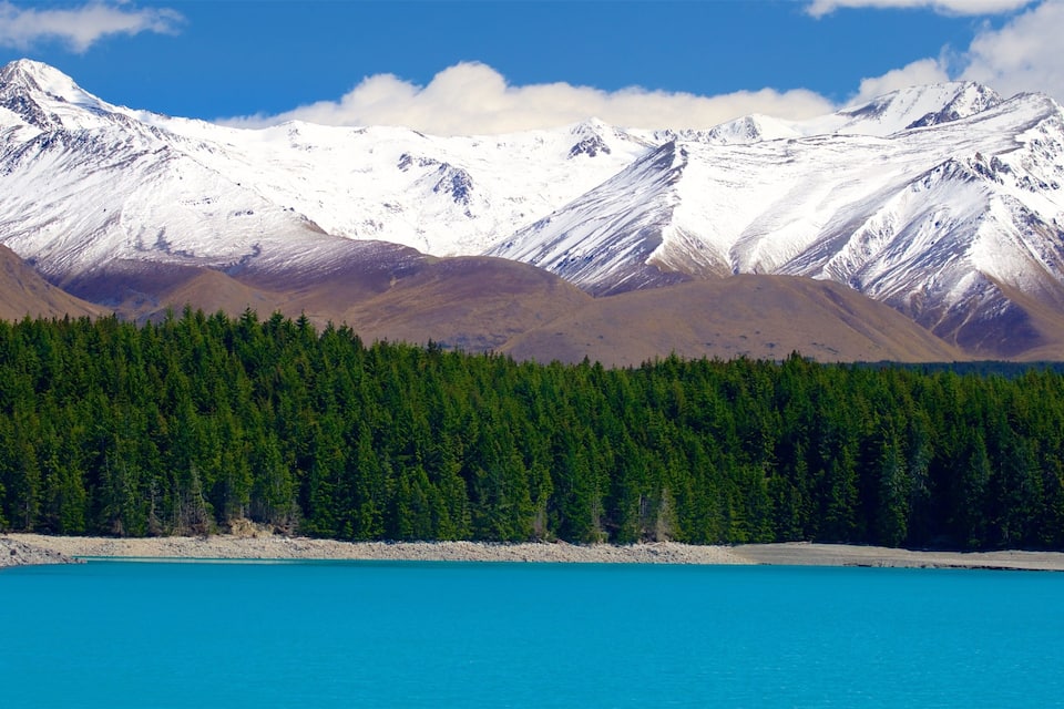 A mountain range with snow-capped peaks, a dense forest, and a turquoise lake.