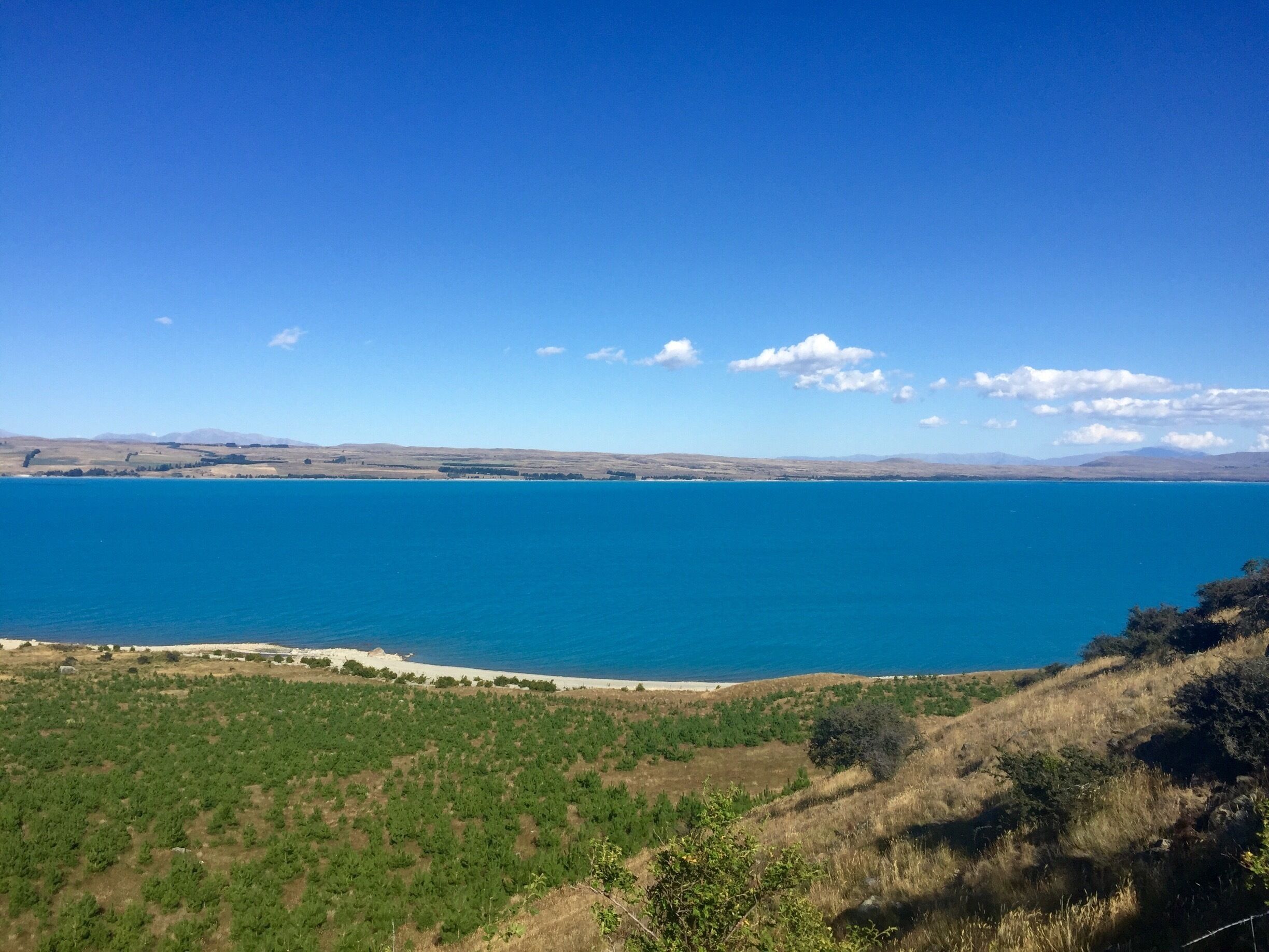 On the way to Mount Cook - the water is the most blue I've ever seen! 
#blue
