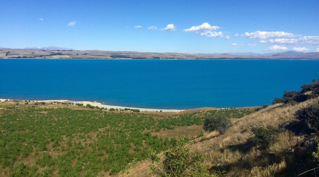 On the way to Mount Cook - the water is the most blue I've ever seen!
#blue