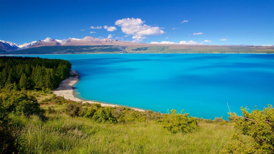 A turquoise lake surrounded by green forest and mountains.
