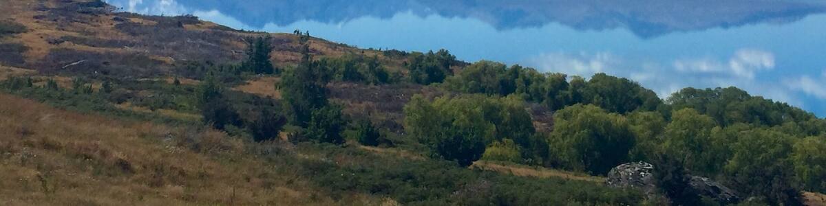 On the way to Mount Cook - the water is the most blue I've ever seen!
#blue