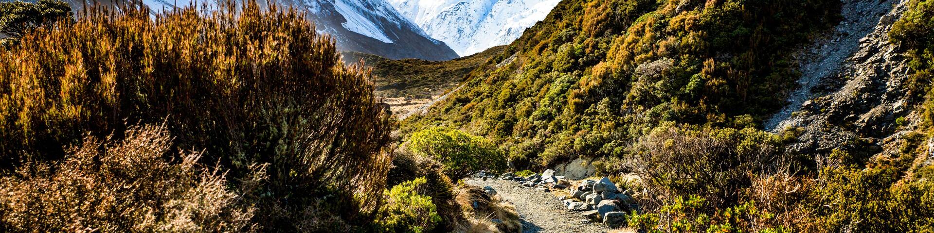 Mount Cook/Aoraki