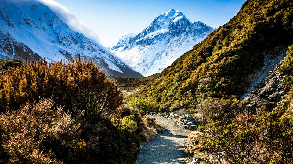 A mountain path with snow-capped peaks and green vegetation.