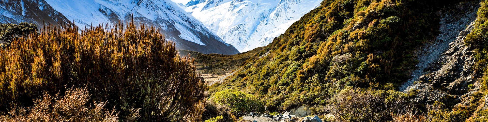 Mount Cook/Aoraki